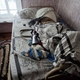 Фото: УМВД по Вологодской области