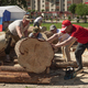 Фестиваль деревянных скульптур в Череповце