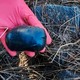 Фото: УМВД по&nbsp;Вологодской области