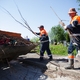 Новости Черинфо