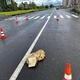 Фото: УМВД