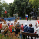 Новости Черинфо