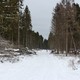 Пуловский лес