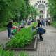 Цветы в Комсомольском парке