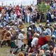 Фото: соцсети губернатора
