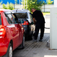 Новости Черинфо