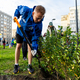 Новости Черинфо