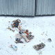 Олег Кувшинников проверяет состояние мусорных площадок