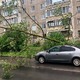 Фото: соцсети Романа Маслова