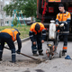 Новости Черинфо