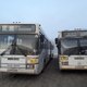 Автобусы и трамваи с «мордочками»