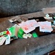 Фото: УМВД по Череповцу