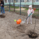 Новости Черинфо