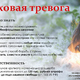 Новости Черинфо