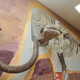 Жидиховский мамонт в Музее природы