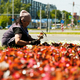 Новости Черинфо