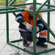 Новости Черинфо
