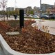 Новости Черинфо