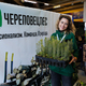 Новости Черинфо