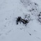 Фото: Филимонов LIVE, Телеграмм