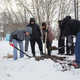 Посадка деревьев на Архангельской