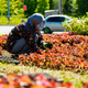 Новости Черинфо