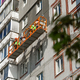 Новости Черинфо