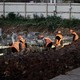 Новости Черинфо