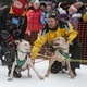 Гонки на собаках в Тотьме. Фото: пресс-служба правительства Вологодской области