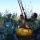 Кольцевание орланов-белохвостов. Фото: Астраханский биосферный заповедник