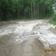 Слив бетона в лесу. Фото: комитет охраны окружающей среды