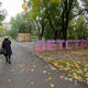 Вандалы разрушили фотозоны в Комсомольском парке