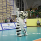 Открытие чемпионата России по волейболу