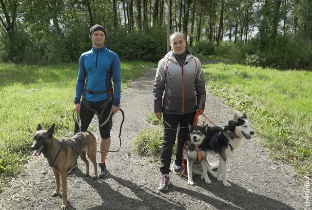 Каникросс: как правильно бегать с собакой