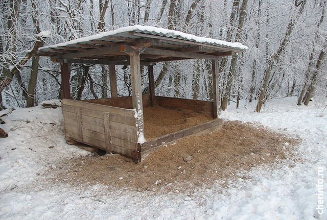 Новости