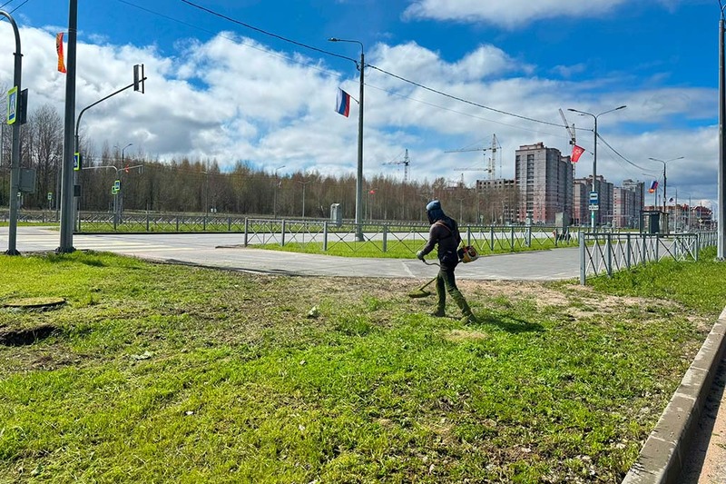 Новости