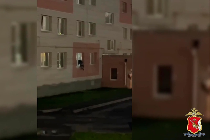 Новости