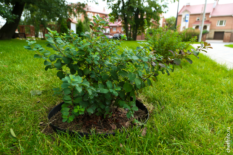 Новости
