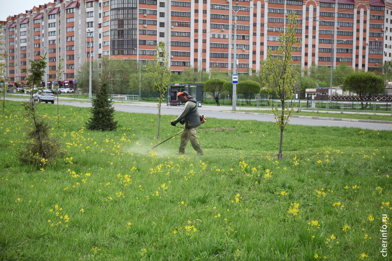 Новости