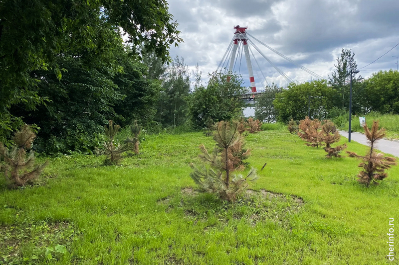 Новости
