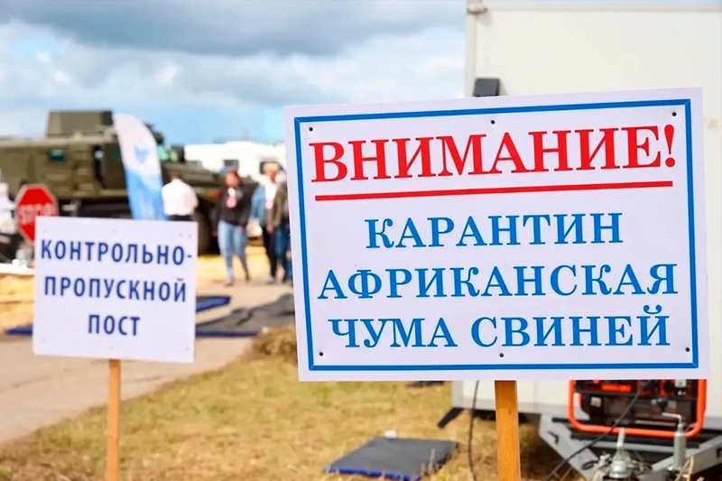 Новости