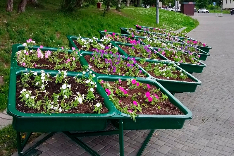 Новости