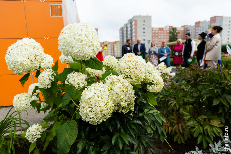 Новости