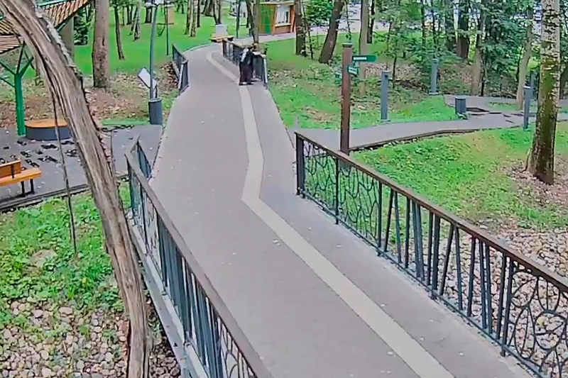Новости