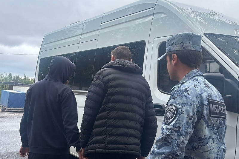 Новости