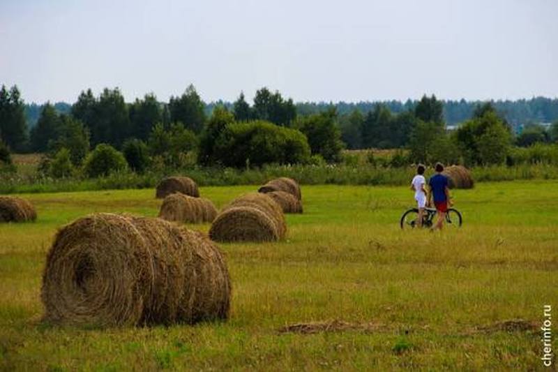 Новости
