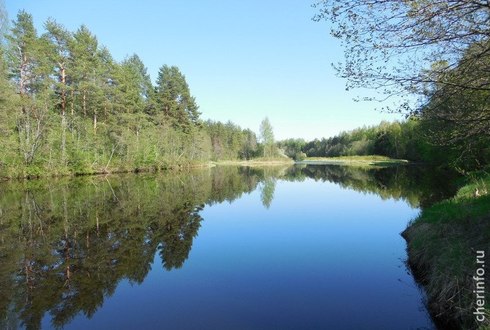 Кадуйский Район Фото