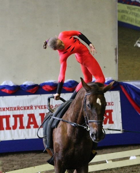 Конный спорт гимнастика