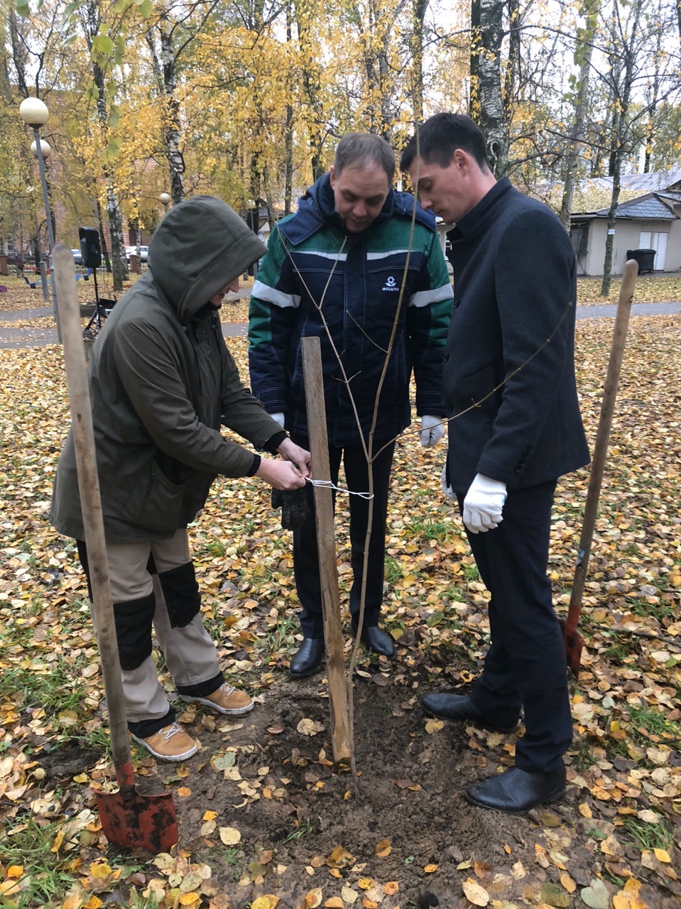 Новости Черинфо