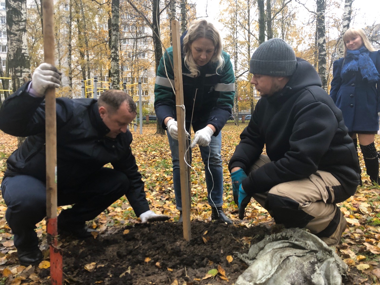 Новости Черинфо